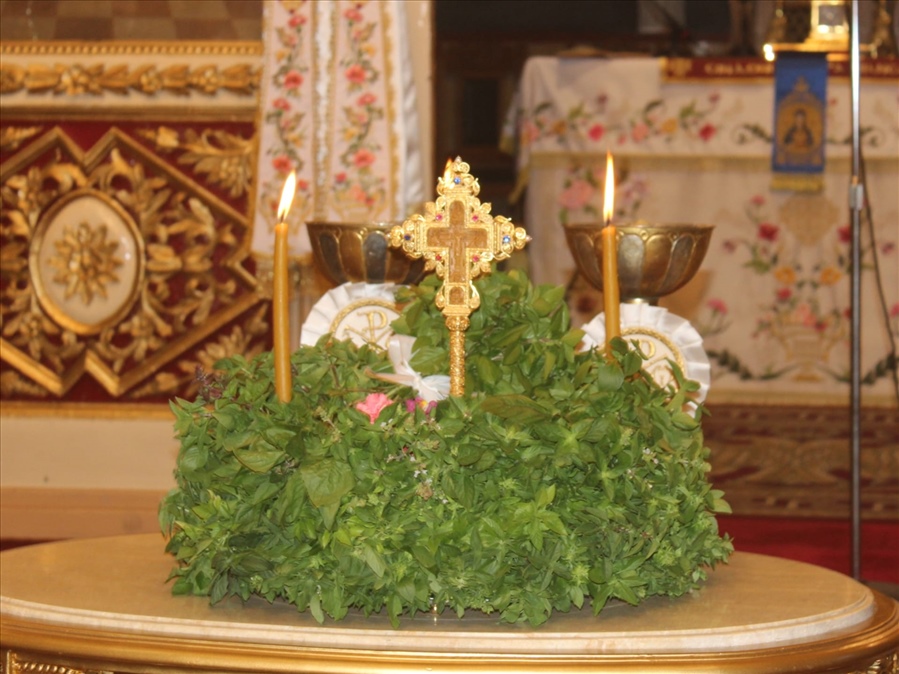 459128984 1027309885598710 4562342289735277600 n