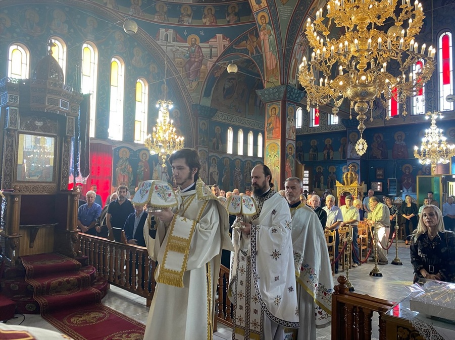 20241013 stefanovikeio 05