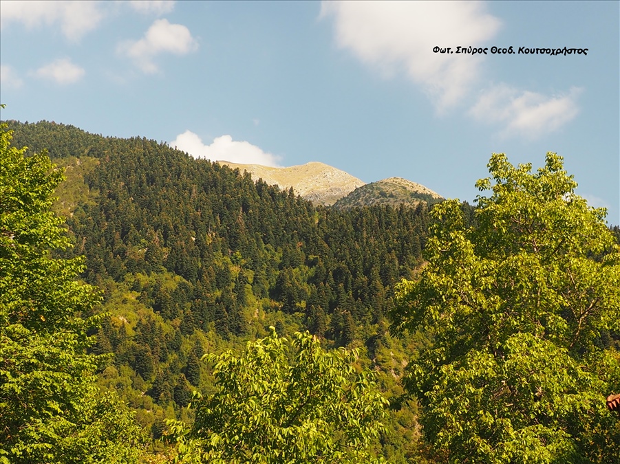 Φωτ. Σπύρος Θεοδ. Κουτσοχρήστος 10 08 2024 P1017583
