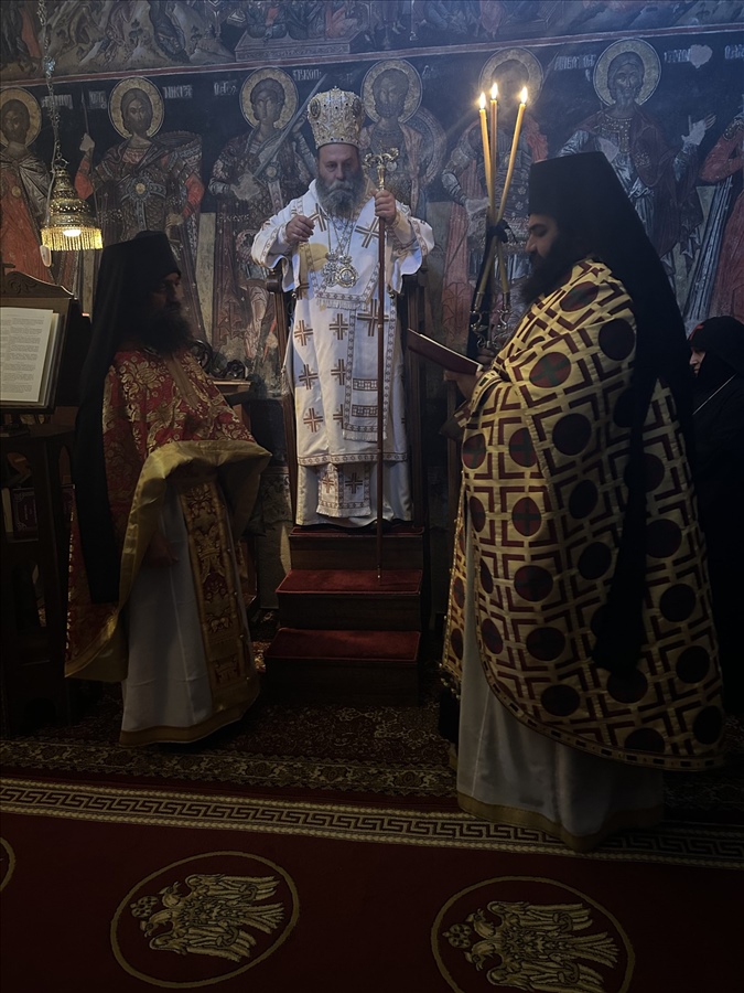 IMG 2771 edited scaled