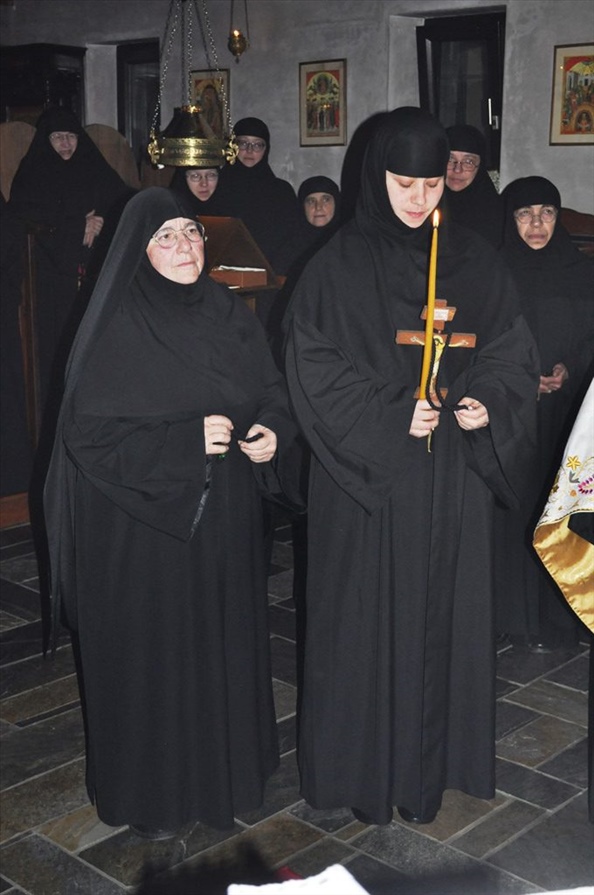 koura damianis 3 rotated