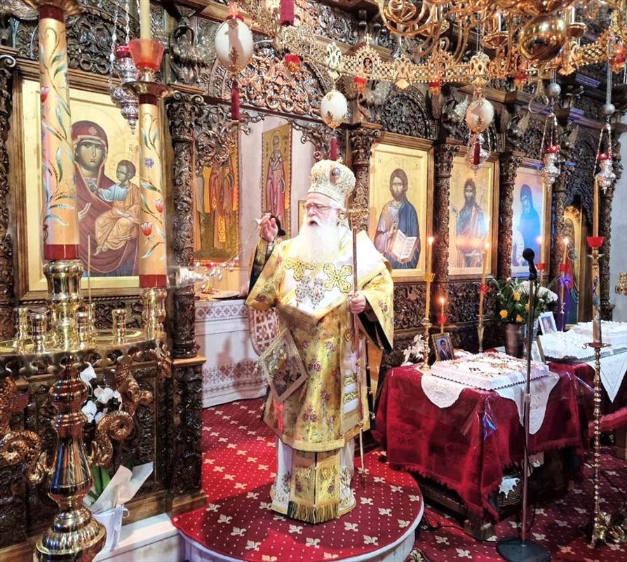 theia leitoyrgia xenia 5