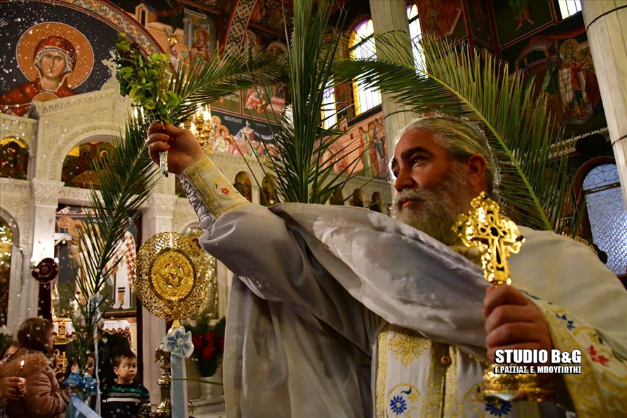 81153582 1420476818102224 0000000000012EUAGGELISTRIA