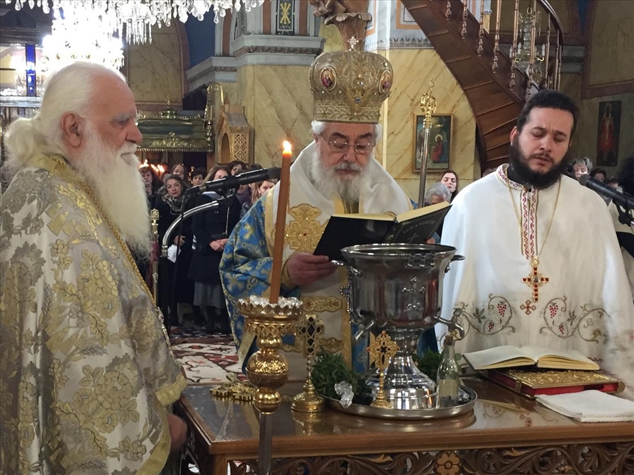 Theofaneia Fokidos2020.02