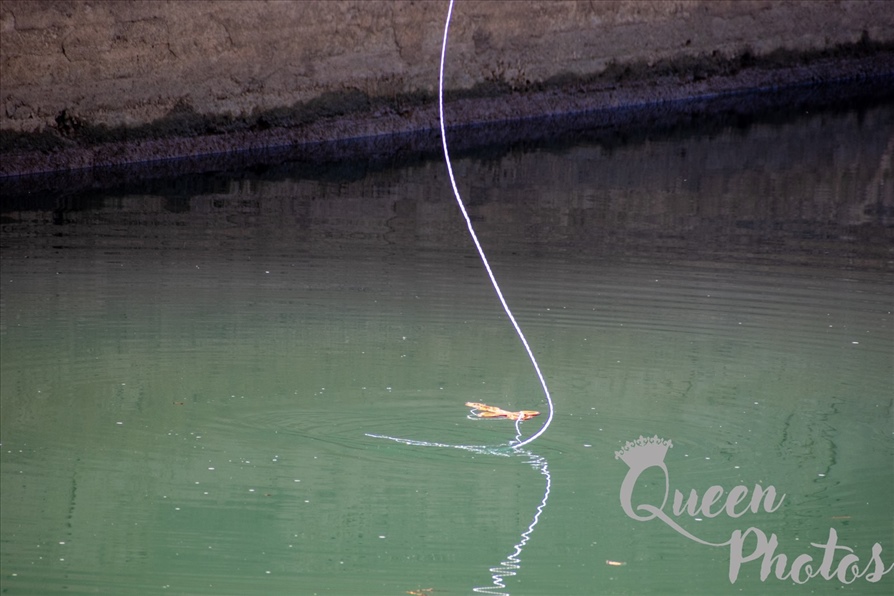 εικόνα Viber 2023 01 06 15 10 01 851