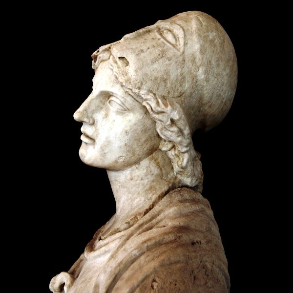 139864568 2933028626916787 4075814122134613746 o 980x980