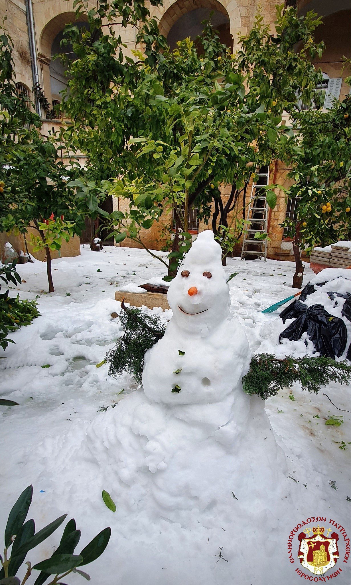 272779823 10160866706059796 7603873298089679880 n