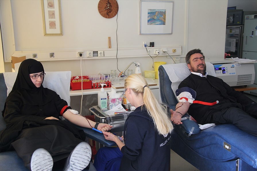 AimodosiaNNA.2020.6682