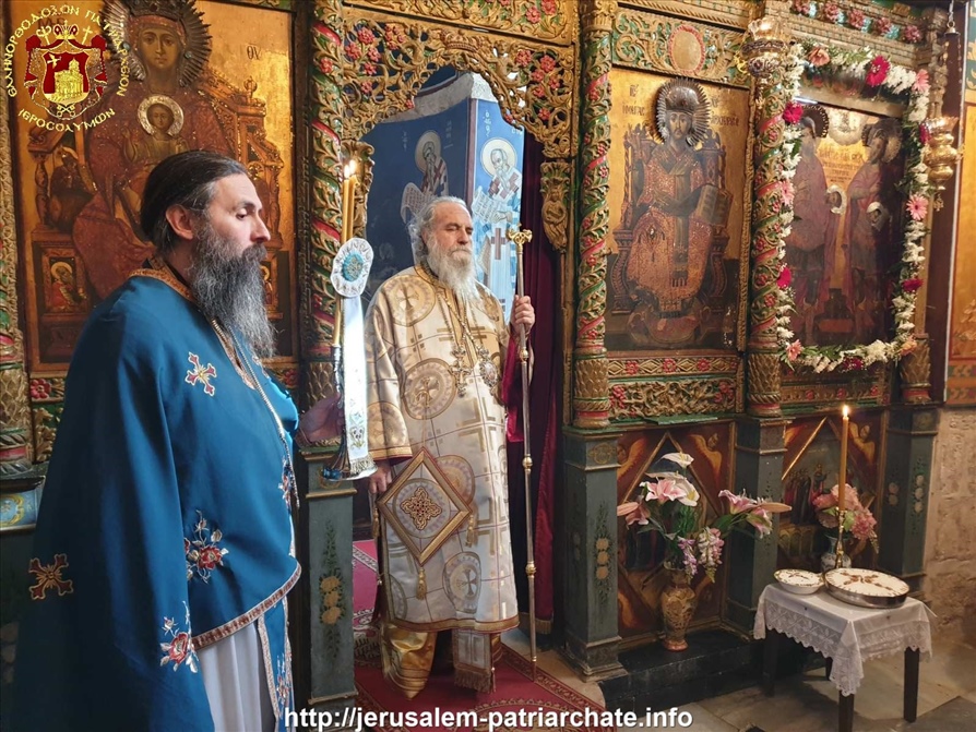 162649065 10160211629774796 2494797507145538964 o