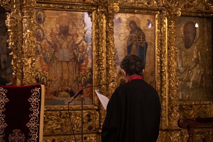 resized resized A31I3048