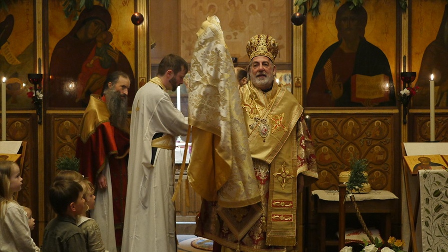 52839590297 3c15f22b37 b