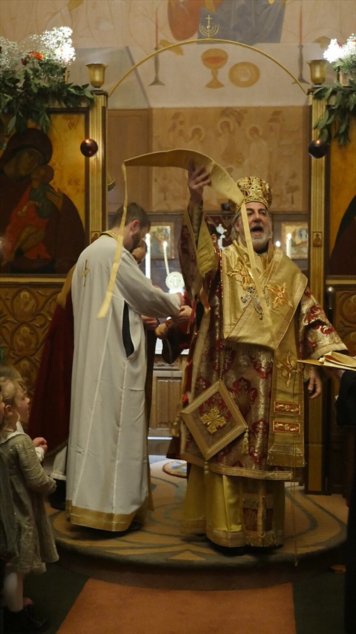 52840601493 64c52541d1 b