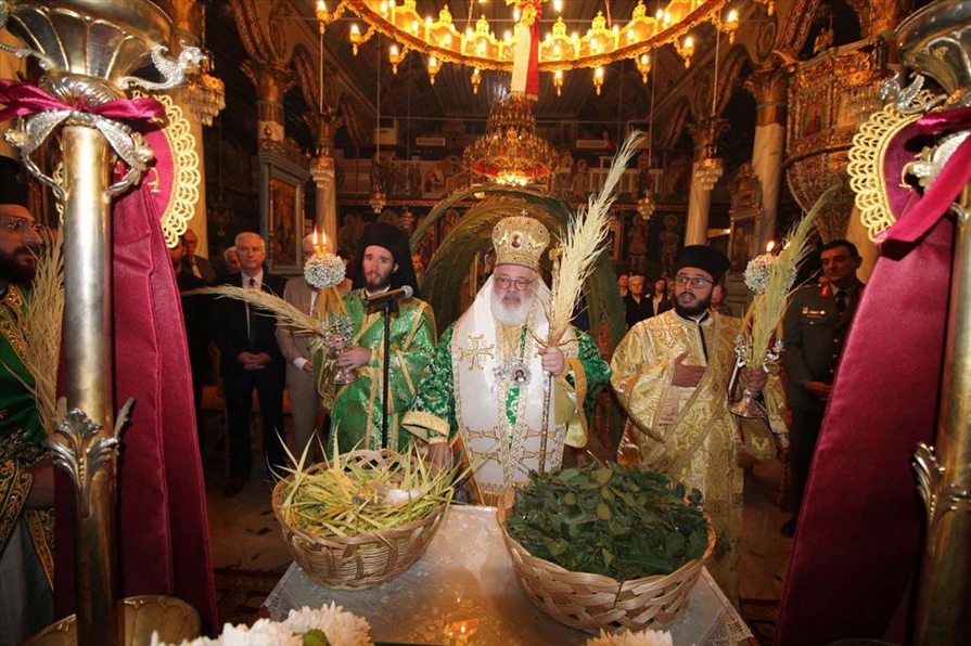 53685087480 8ec5b76991 b