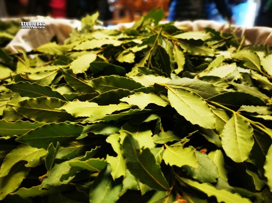 178355830 462753578341637 4882368108682888235 n