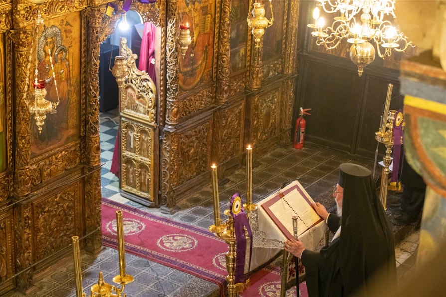 resized resized A31I6084