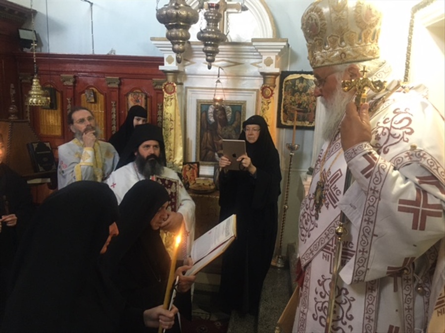 ΚΟΥΡΕΣ ΜΟΝΑΖΟΥΣΩΝ ΣΤΗΝ ΜΗΤΡΟΠΟΛΗ ΚΕΡΚΥΡΑΣ 8