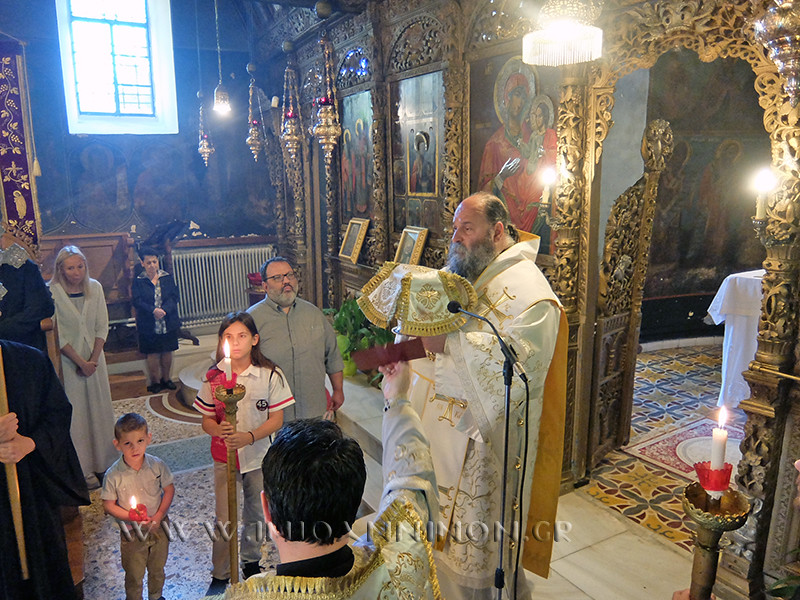 50032662611 7e1b309e57 b