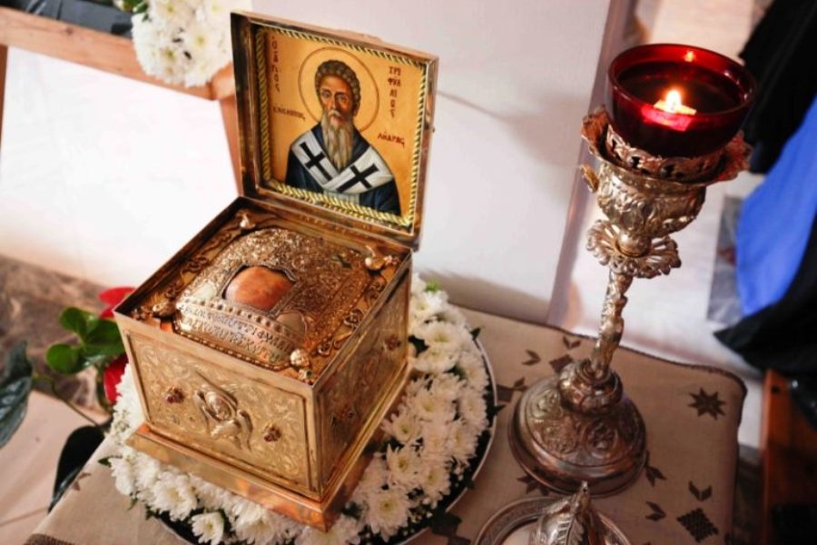 resized IMG 6215 768x512