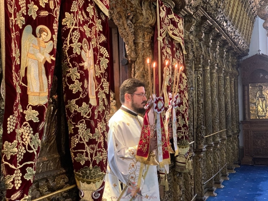 resized thumbnail IMG 5886