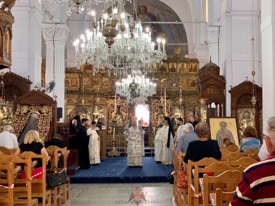 resized thumbnail IMG 5892