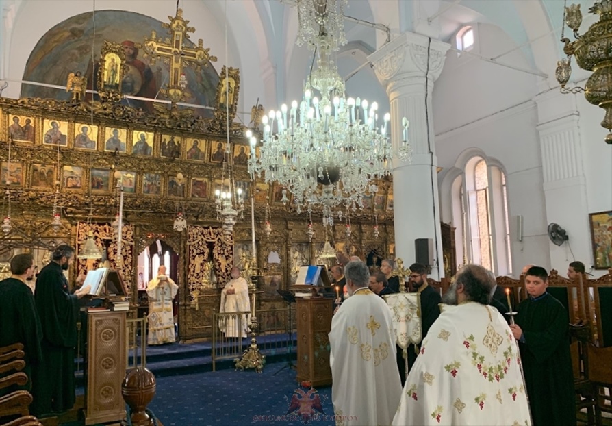 resized thumbnail IMG 5942