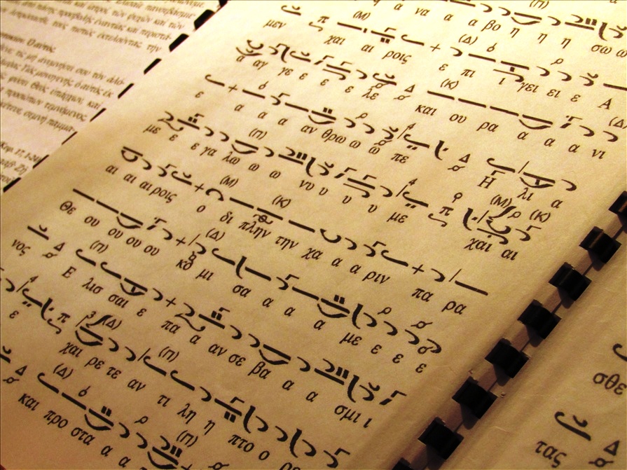 IMG 0010