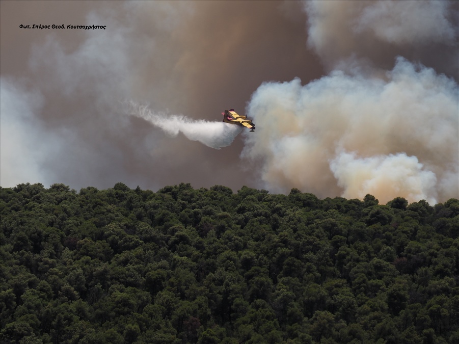 Φωτ. Σπύρος Θεοδ. Κουτσοχρήστος P1019566