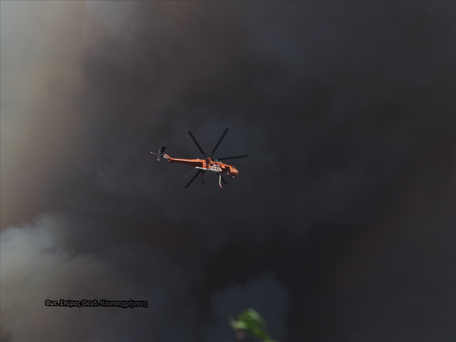 Φωτ. Σπύρος Θεοδ. Κουτσοχρήστος P1019649