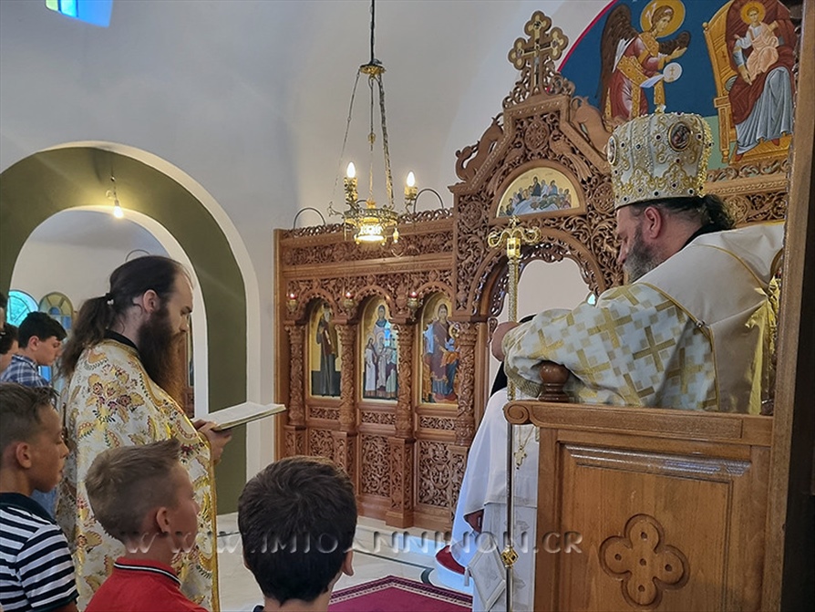 53081211024 88cef07b37 b