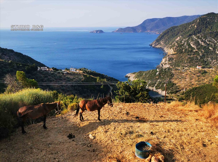 SPORADES ALONNHSOS XORA2