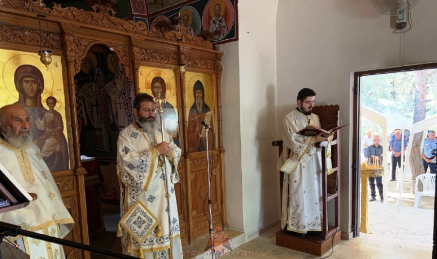 resized thumbnail IMG 7846