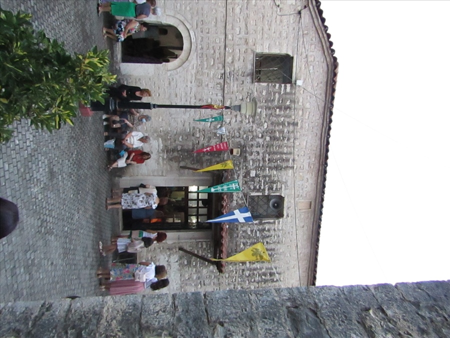 IMG 0008