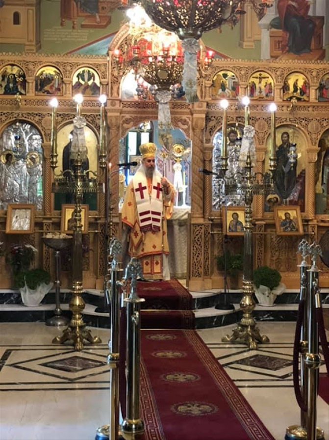 119882837 4630948000250493 2007120064138553026 n