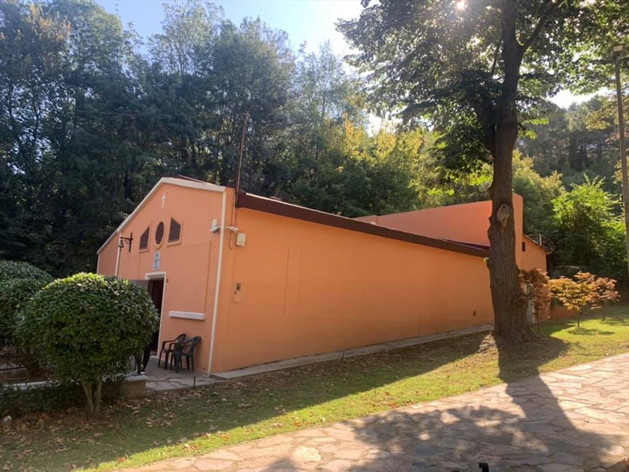 241359331 1478122589217628 4670059211276537927 n