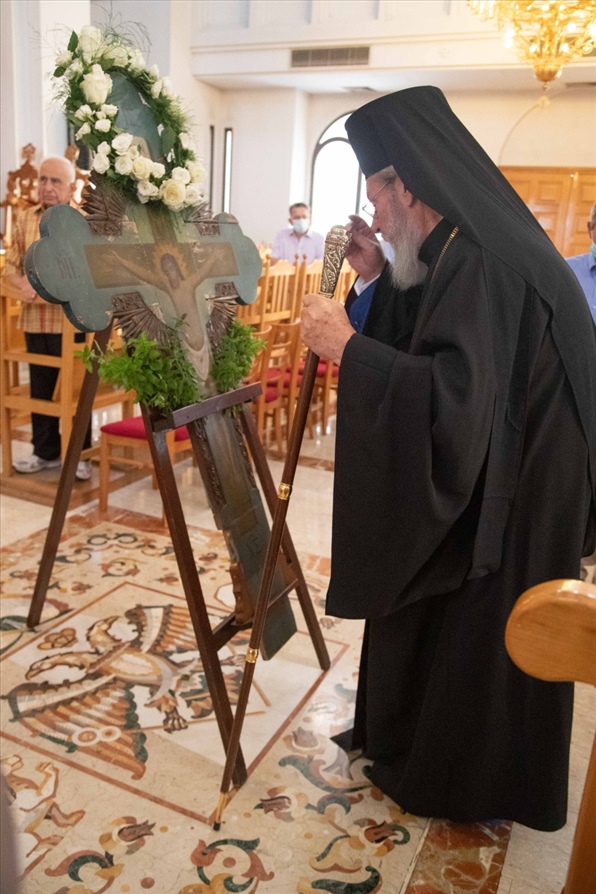 resized resized A31I7355