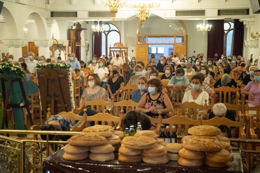 resized resized A31I7556