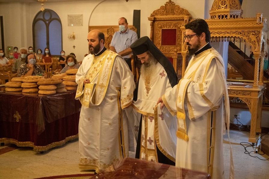 resized resized A31I7643