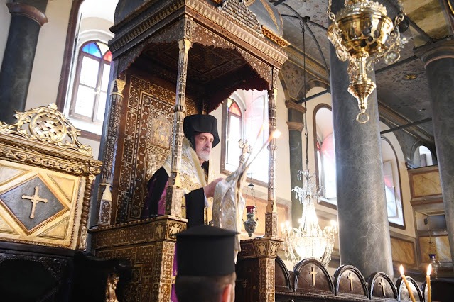 121741300 10158688292184158 1958355114009245910 o