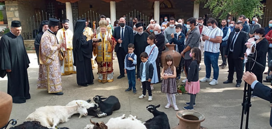 122735032 3346140425500147 6992239071142162972 o