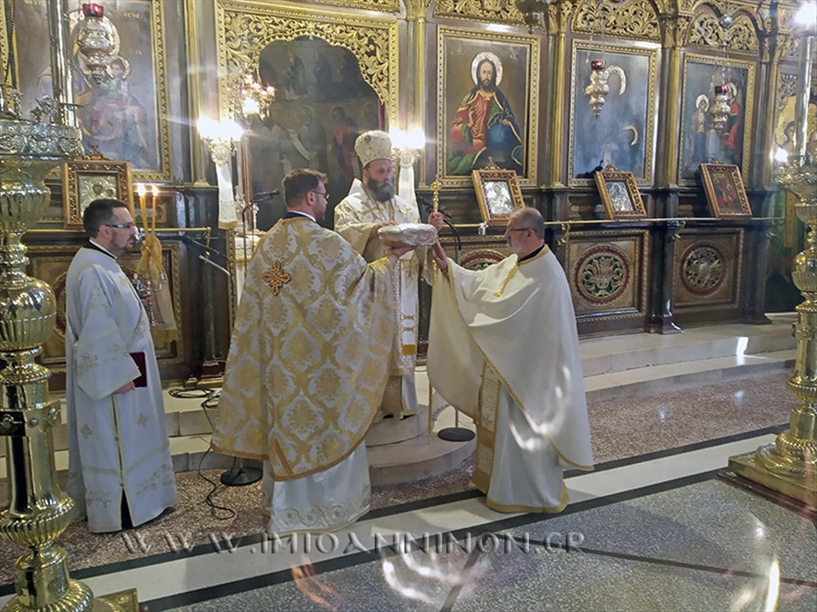 50421197433 2629fd3b2a b