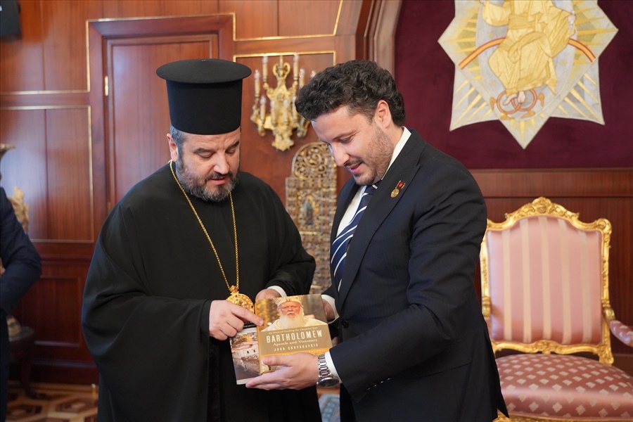 DSC07181 αντίγραφο