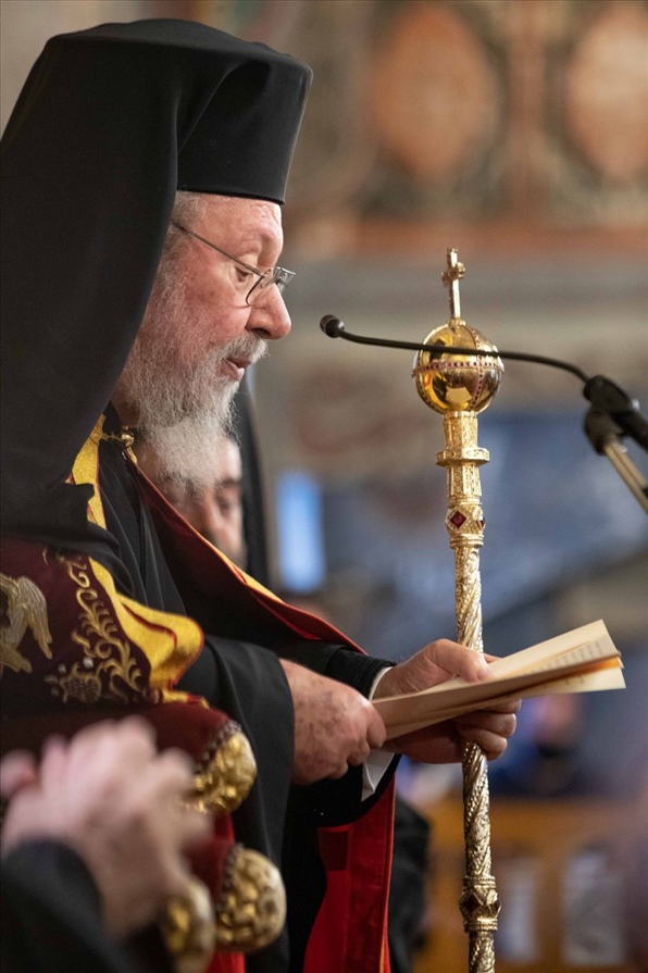 resized resized A31I7450