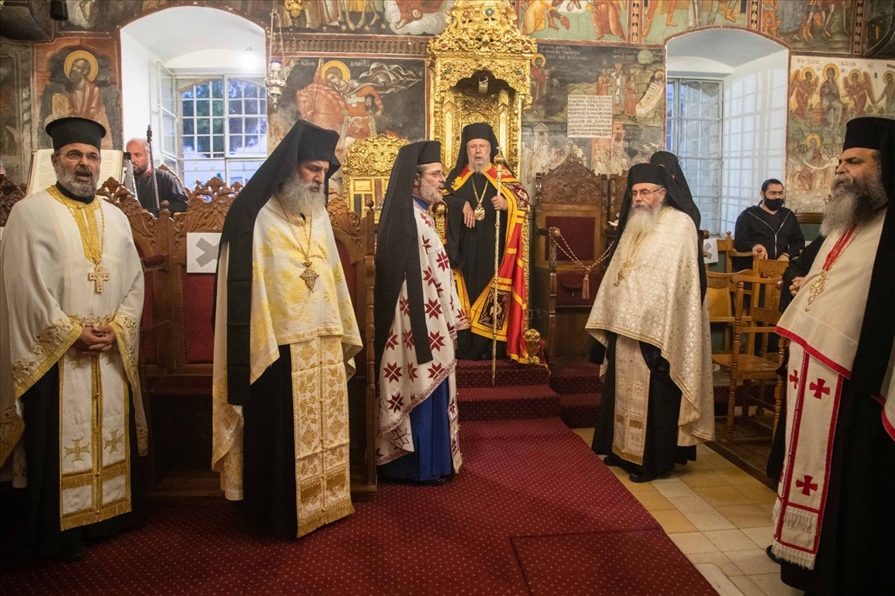 resized resized A31I7541