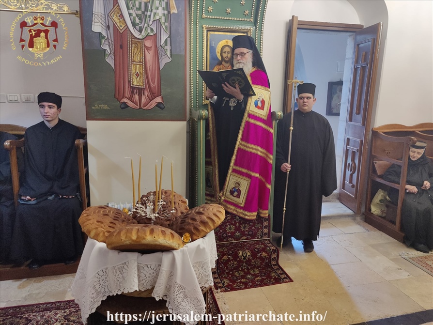 129061485 10159929473309796 7531556270167601824 o