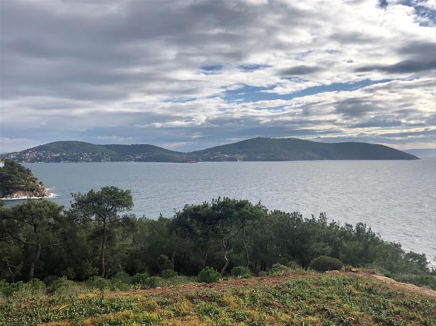 130767521 1929586047179292 1071857085514970674 n