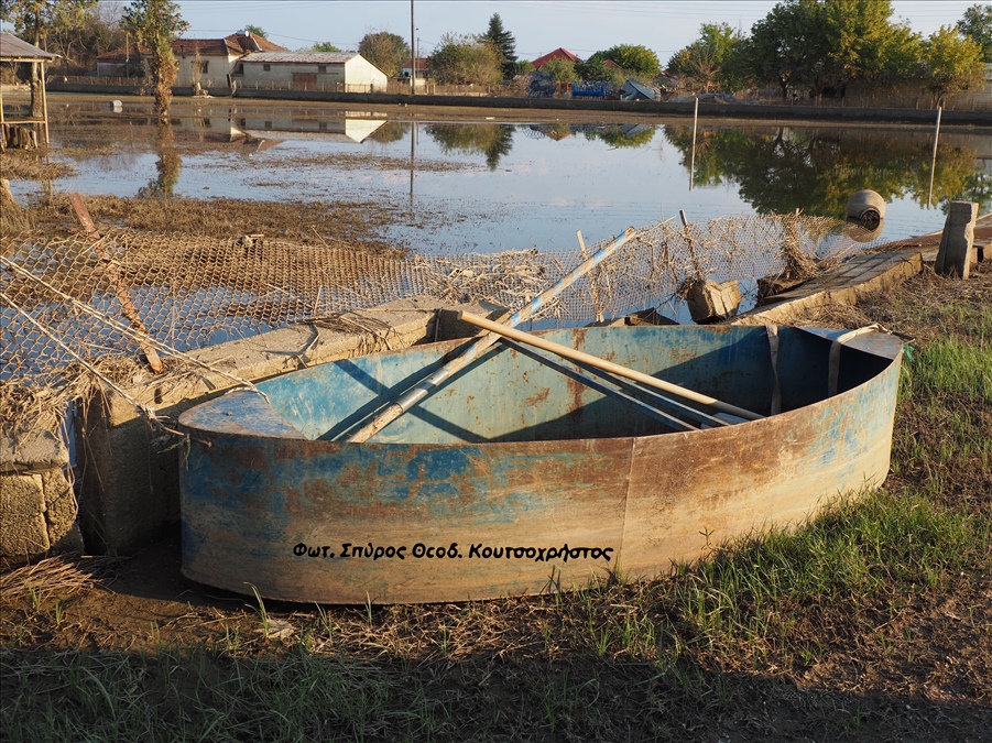 Φωτ. Σπύρος Θεοδ. Κουτσοχρήστος P1012694