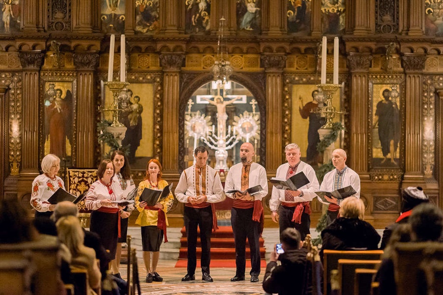 52572265952 37610d6680 b 