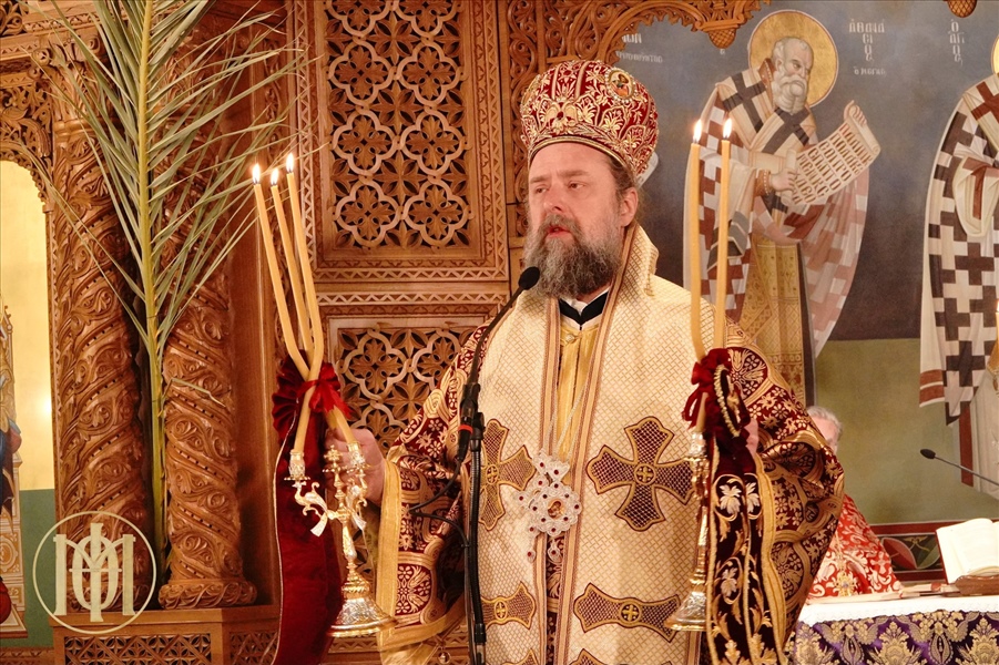 491291747 122160094202341489 4542116164915438200 n