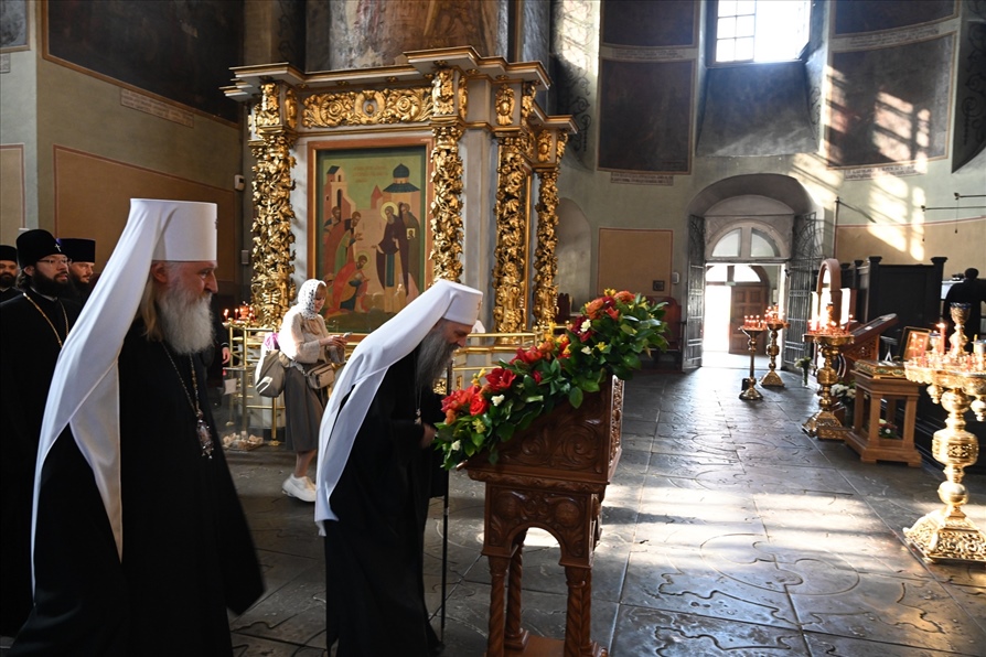 t0a8dtiizb6dfvercebiesblbaxrvgjd