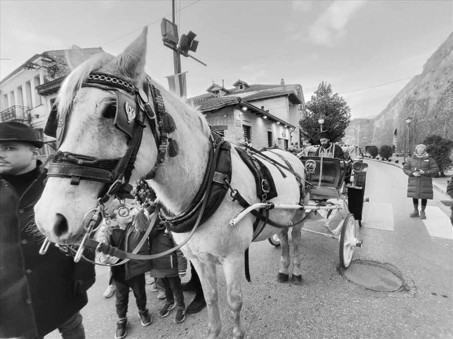 615422751 1429258908905494 3491840947935654555 n